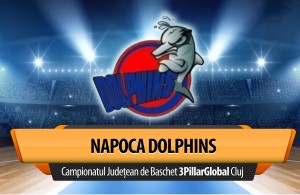 Header-Notes-Dolphins